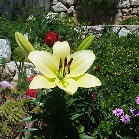 Seabreeze Hvar * Χβαρ