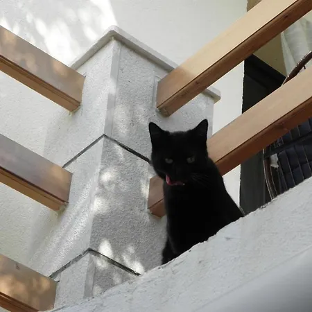 Διαμέρισμα Seabreeze Hvar