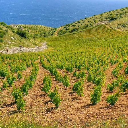 Seabreeze Hvar Χβαρ